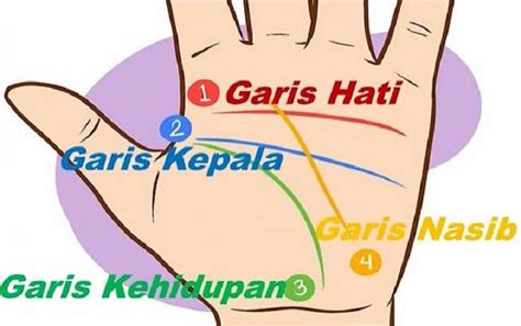 Pemiliki 5 Garis Tangan Ini Dipercaya Masa Depannya Cerah Dan Penuh