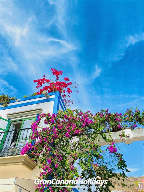 Servatur - Servatur added a new photo — at Servatur Waikiki.