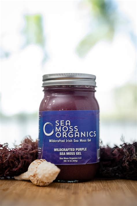 Buy Sea Moss Gel By Sea Moss Organics Wildcrafted Purple Sea Moss