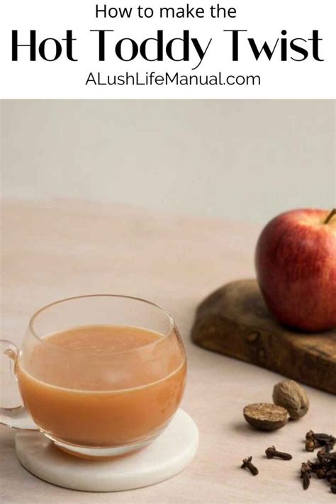 How To Make The Silent Pool Gin Hot Toddy Twist