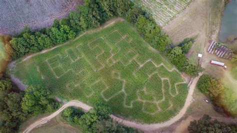 Corn Maze – Pumpkin Patch Farms