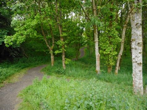 Path Through The Trees © Richard Sutcliffe Cc By Sa 2 0 Geograph Britain And Ireland