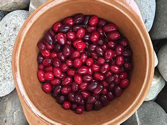 Kornelkirschen Marmelade Selber Machen Rolfkocht De Kochen Backen