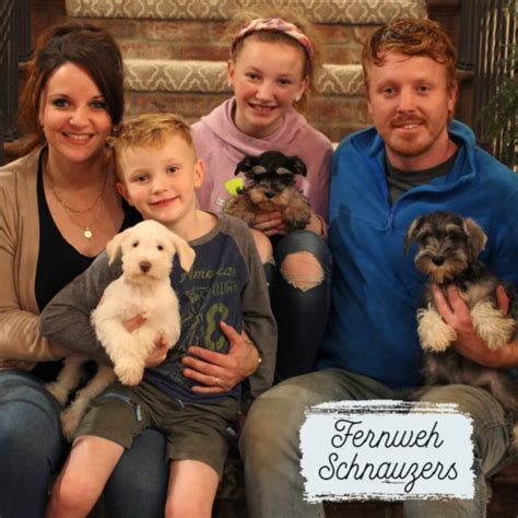 Baltimore Miniature Schnauzer Puppies for Sale