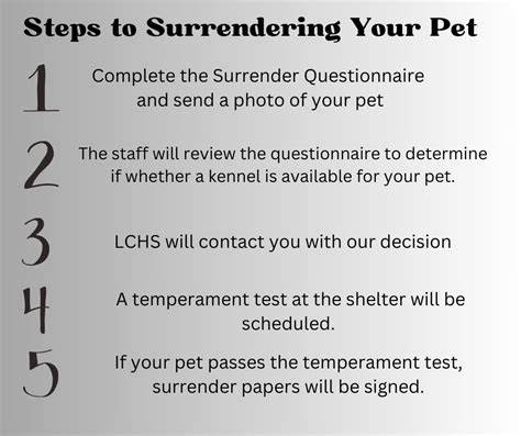 how to surrender a dog to the humane society