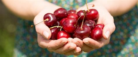 chia se cach nhan biet trai cay sach chat luong va cach trang tri bat mat