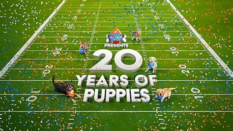 animal planet  prime video