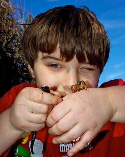 Jerusalem Cricket Bite | celebrity image gallery