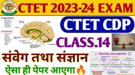 Ctet Cdp Classctet Classes December Emotion Cognition For Ctet