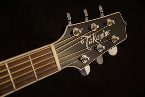 brown  black takamine guitar headstock  stock photo