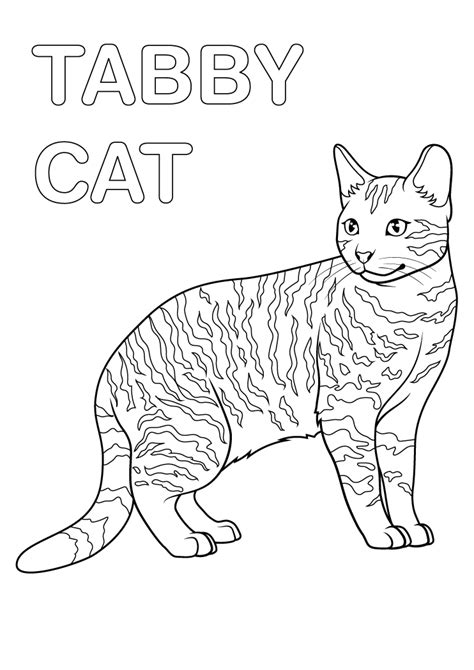 Tabby Cat Coloring Pages (Free Printable PDFs) | WakeTheKids