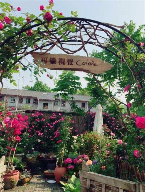「心有籬笆，花開半夏」 每日頭條