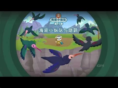 Octonauts Above Beyond Season Episode Ibis Bird Chinese