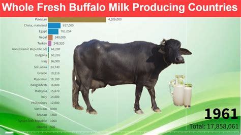 Whole Fresh Buffalo Milk Producing Countries Whole Fresh Buffalo Milk