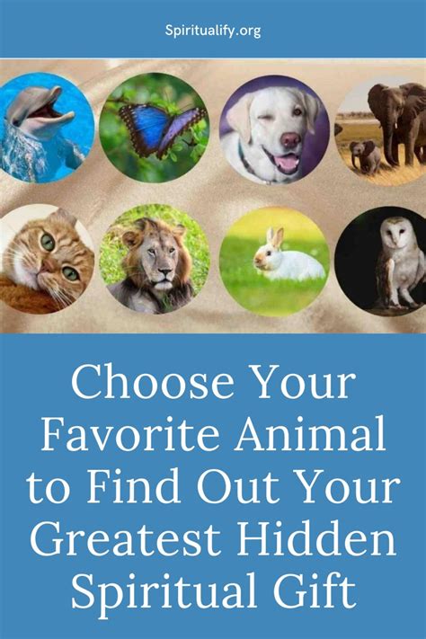 Choose Your Favorite Animal to Find Out Your Greatest Hidden Spiritual Gift