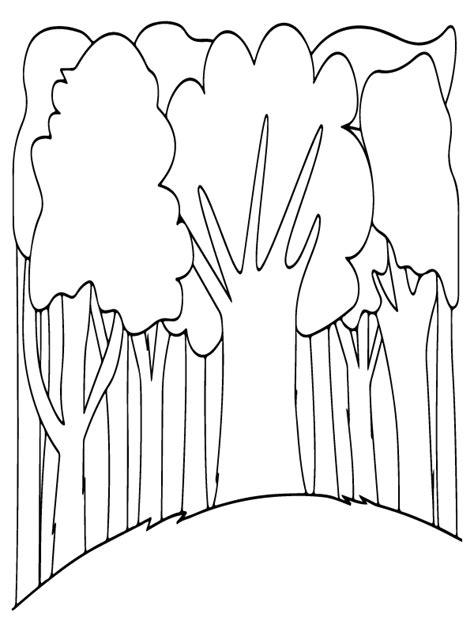 simple trees  forest