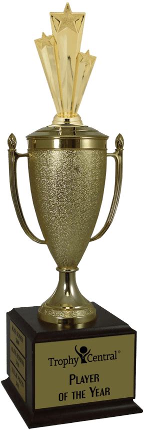 star champions cup trophy star trophies