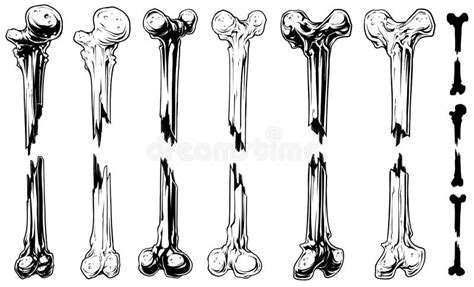 Graphic Black And White Broken Bones Vector Set Stock Vector