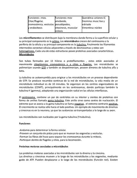 SOLUTION Resumen Tipos De M Sculo Uniones Celulares Biologia Studypool