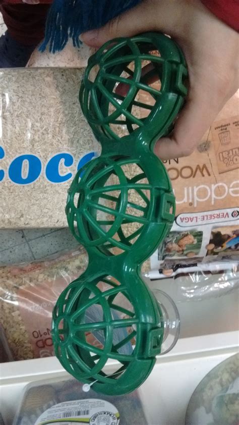 900+ Zoo Animal Enrichment ideas | zoo, enrichment, animals