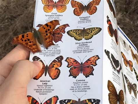 Mind-Blowing Coincidences You'll Swear Can't Be Real – Page 4 ...