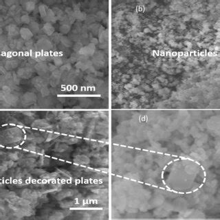 Ad Sem Images Of Crte Gcn And Gcn Crte Nanocomposite