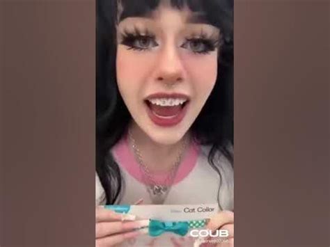 cat flabbergasted  human youtube