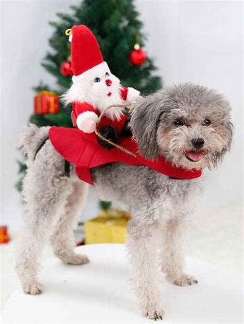 Fantasia Cachorro Natal