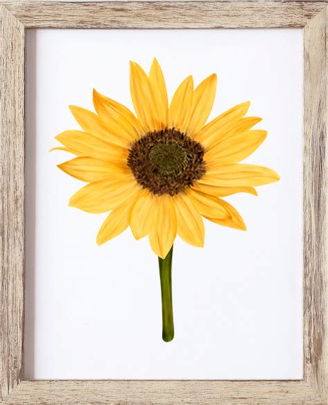 sunflower print botanical print sunflowers wall art flower art
