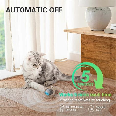 cat toys motion activated 8