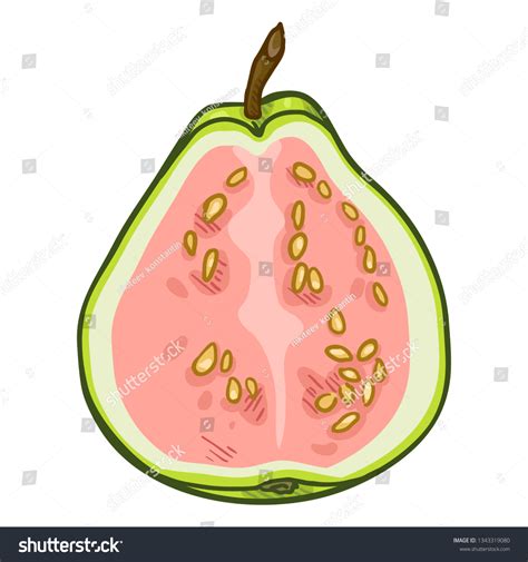 how to cut guava 2