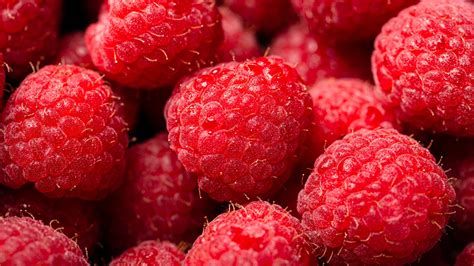 Pictures Raspberry Food Berry Closeup