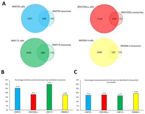 Qualitative Analysis Of Proteins Identified In Cm Cell Lines And