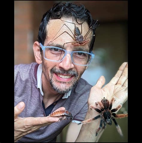 Soñar Con Alacranes 7