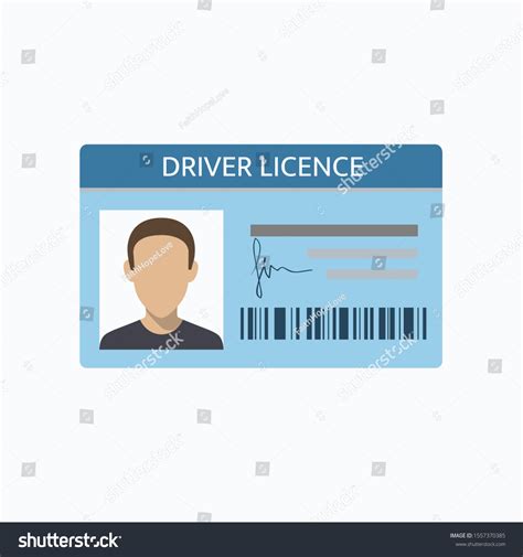 Driver License Document Isolated On White Stock Vector (Royalty Free