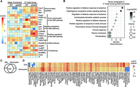 RNA Seq Data From Microglia And From Fly Hemocytes And Glia A Heatmap