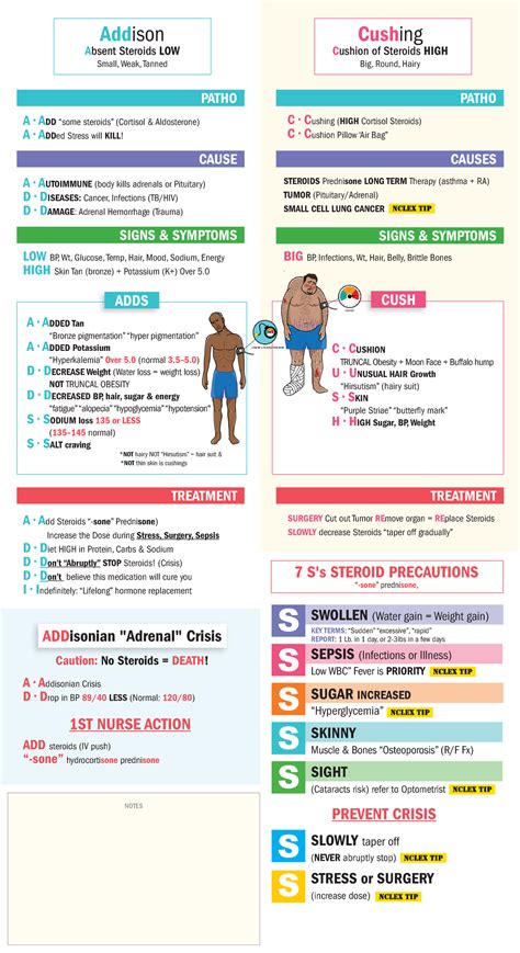 Endocrine Handout Addison Vs Cushings NUR 106 LCCC Studocu