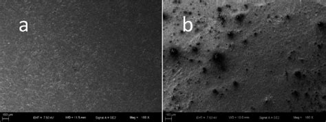 Sem Images Of Electrodes A Bare Carbon Paste Electrode And B