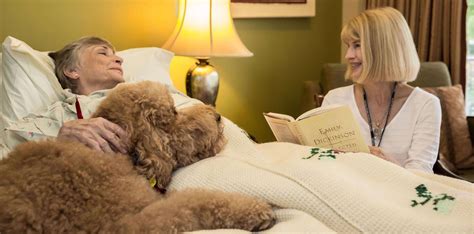 Circle of Care For Terminally Ill Patients - Moments Hospice