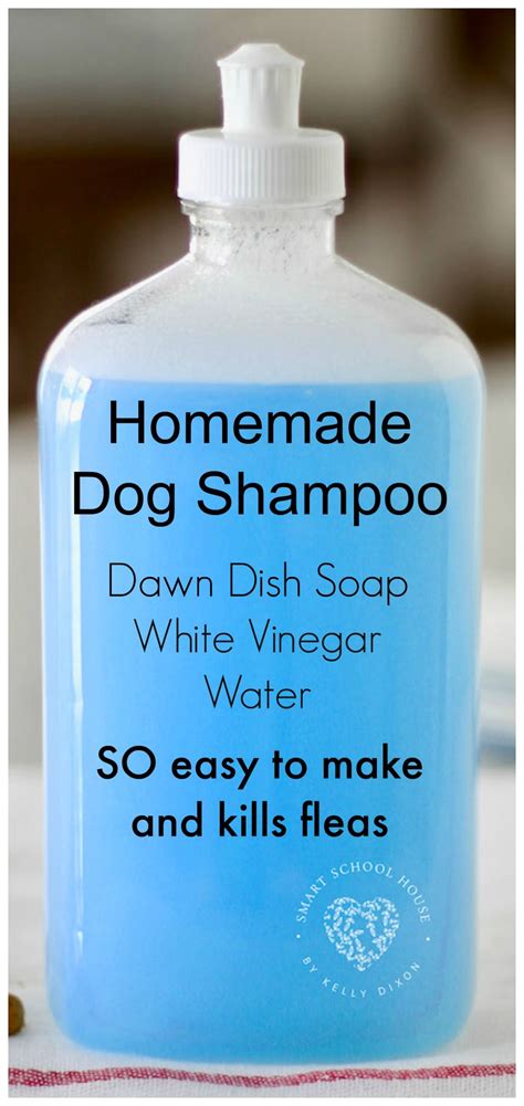 Dog Shampoo For Itchy Skin Diy at Kathryn Edmondson blog