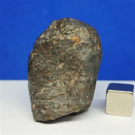 Free Shipping Stony Meteorite Nwa 869 Brecciated Chondrite L3 6