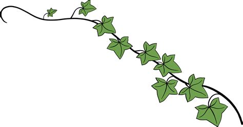 Free Simplicity Ivy Freehand Drawing Flat Design Png With