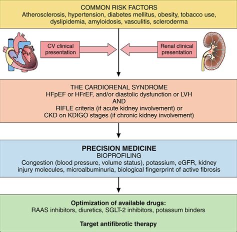 Cardiorenal Syndrome Revisited Circulation