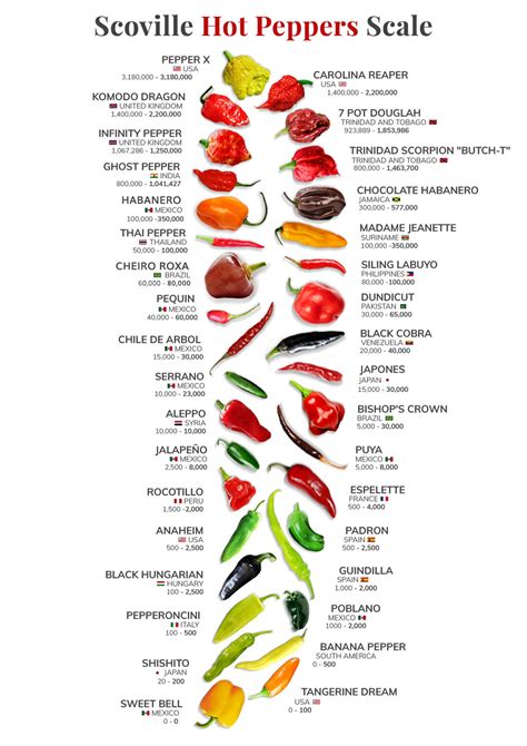 Scoville Hot Peppers Scale Poster Kitchen Wall Art Chef Gift Chili