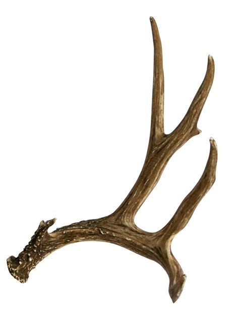 Mule Deer Faux Antler | Cast Horn Designs