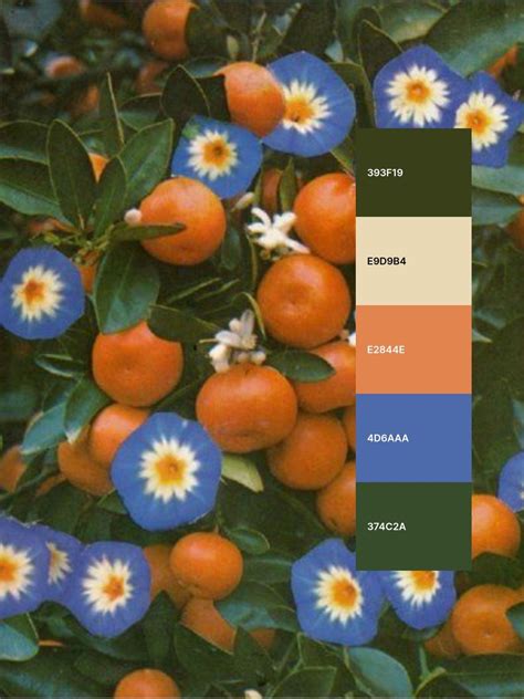 Pin by Nialler Horan on Wedding | Color schemes colour palettes, Color