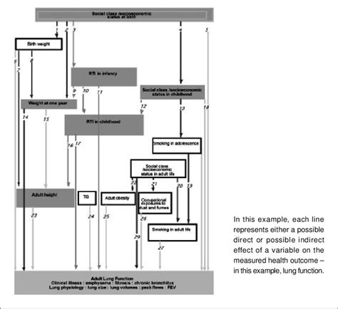 pathways  disease  complex  scientific diagram