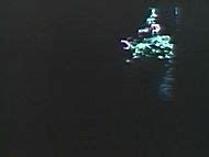 Naked Connie Stevens In Scorchy