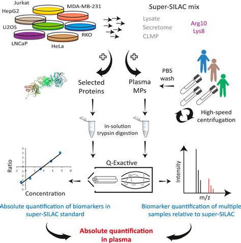 Proteomics Of Microparticles With Silac Quantification Promis Quan A