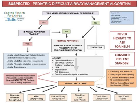 Rinciplesn Of Pediatric Anaesthesia Telegraph